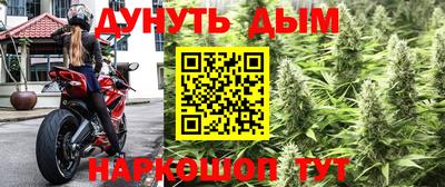 Альфа ПВП Новокубанск