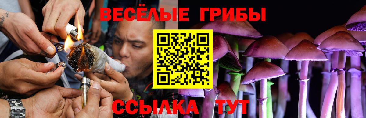Шали  Псилоцибиновые грибы мицелий  Вход с VPN  Галлюциногенные грибы прущие грибы 